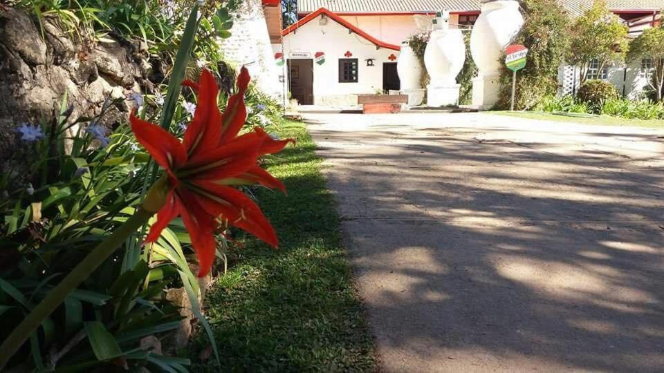Pousada El Brujo Monte Verde  Buitenkant foto
